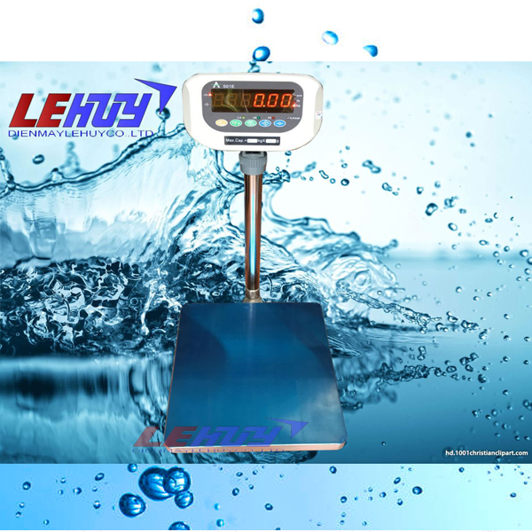 Cân điện tử A501E 60kg