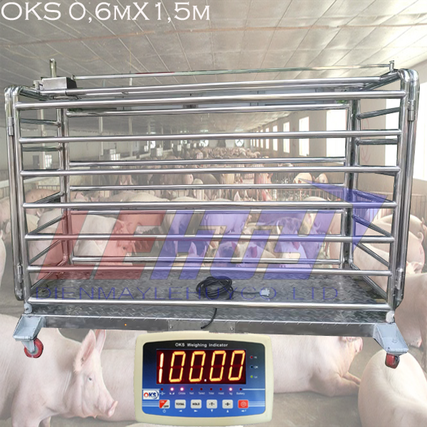 Cân lợn khung inox201 loại 2 con 0,6x1,5m của 1 thao tác