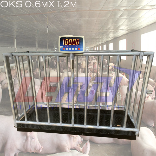 Cân heo loại 1 con có lồng bao kích thước 0,6mx1,2m 500kg