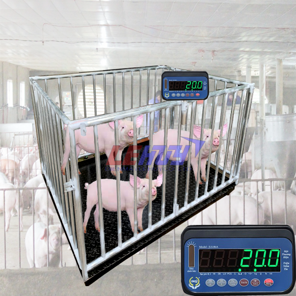 Cân lợn loại 3 con 1,2mx1,2m 2000kg