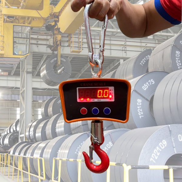 Cân treo OCS mini 500kg